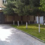 Garden of house for rent at Darhan area in Tashkent