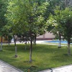 Garden of house for rent at Darhan area in Tashkent