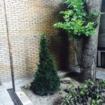 Garden area